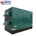 good sale CE ISO 50kw 60kva silent ricardo biogas generator main grid